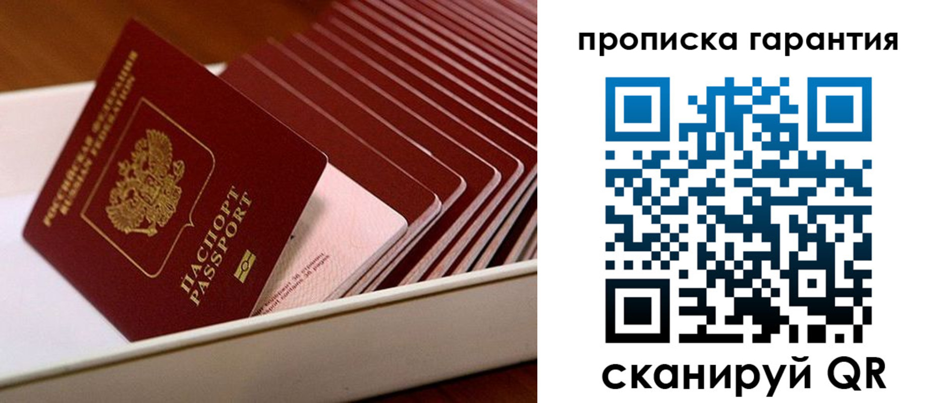 прописка поиск в Кировской области